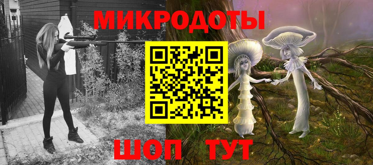 Галлюциногенные грибы Psilocybe Петрозаводск